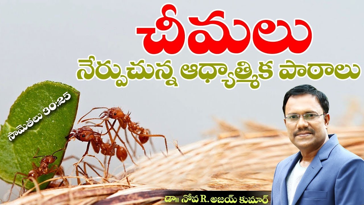 Lessons From Ants - చీమలు  నేర్పుచున్న  ఆధ్యాత్మిక పాఠాలు - Dr. Noah