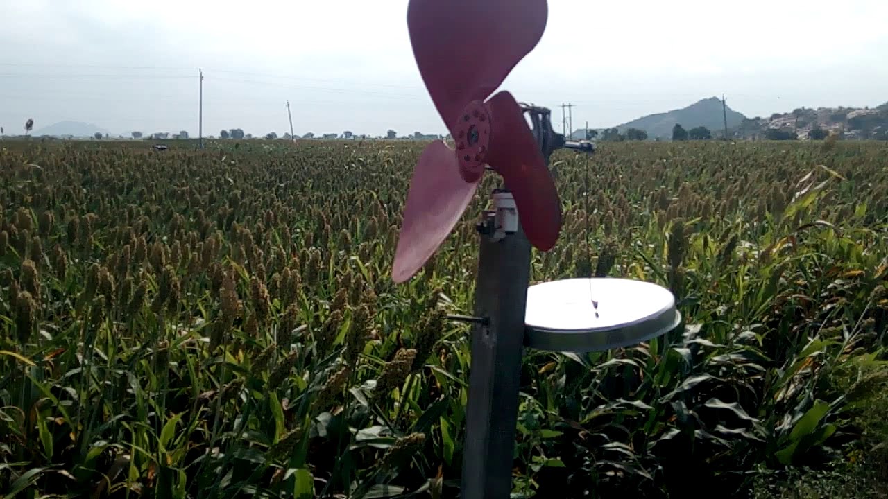 Crop Protection from Birds