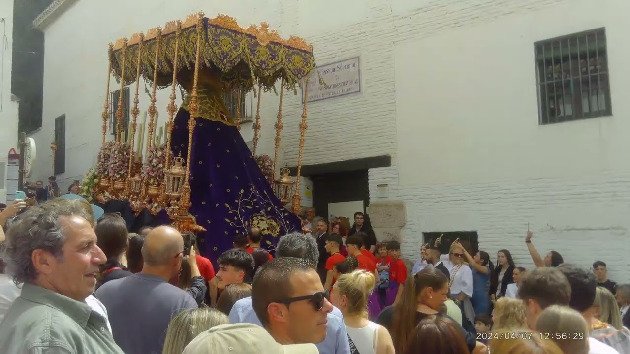 🎬 💜 LEVANTÁ DE LA VIRGEN DE LOS GITANOS 💜✨ GRANADA 2024 ✨ #gitanos #granada #virgen