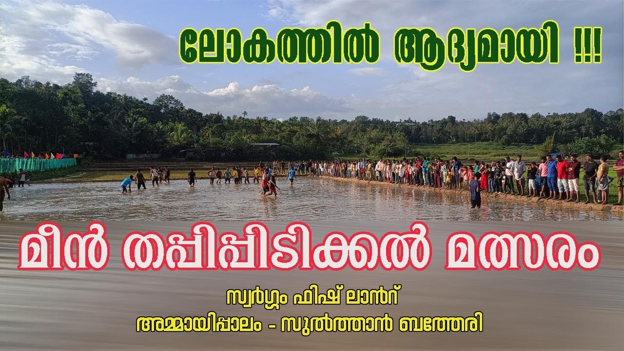 മീൻ തപ്പിപ്പിടിക്കൽ മത്സരം | സ്വർഗ്ഗം ഫിഷ് ലാൻറ്അമ്മായിപ്പാലം സുൽത്താൻ ബത്തേരി | Swargam Fishland