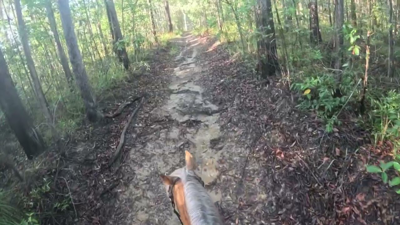 Ride with me: trail ride after a rainy weekend