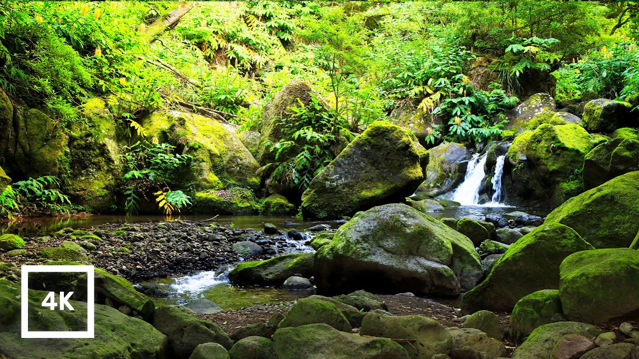Azorean Cascades at Golden Hour &ndash; Rushing Water Sounds for Sleep & Relaxation | 4K HDR Nature