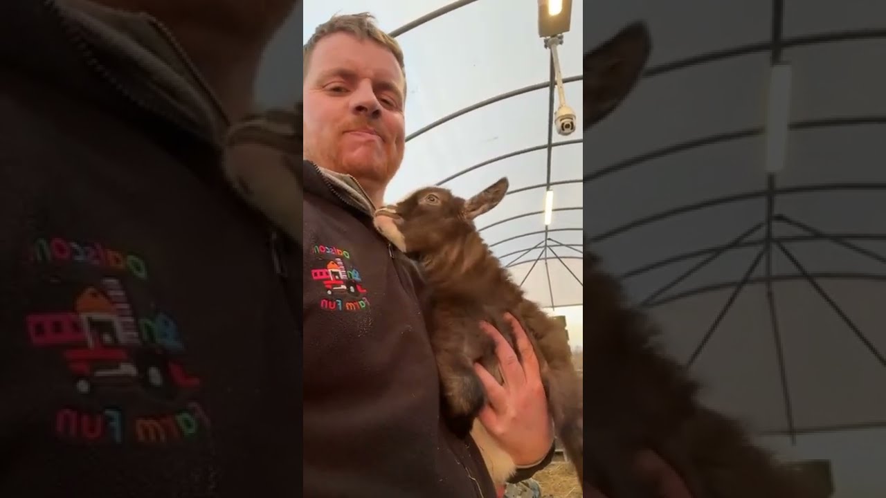 Farmer Bens Update, Meerkats and Baby Miracle 08/01/2022