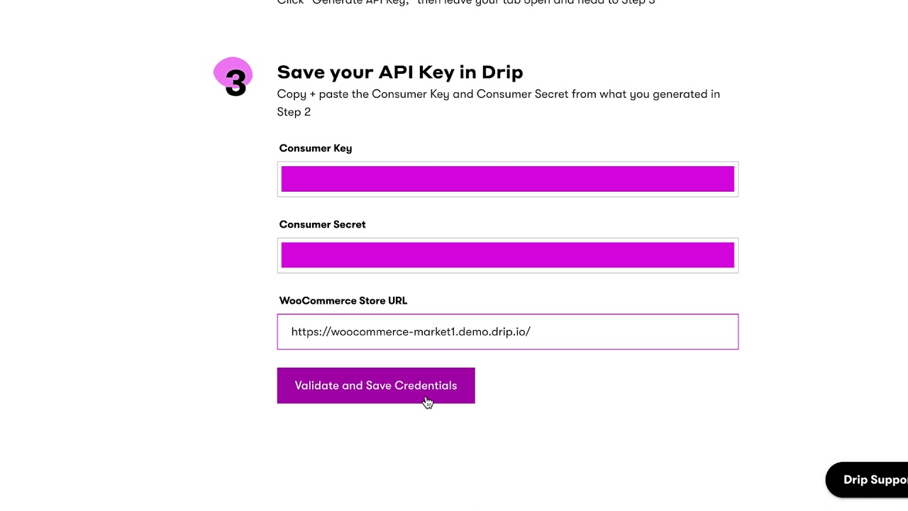 How To Connect Your WooCommerce Store