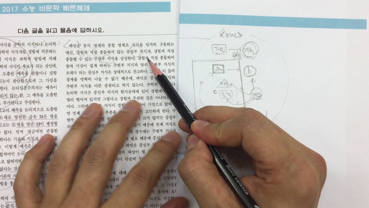 2017 수능 국어 비문학 해설 1 논리실증주의 포퍼 콰인