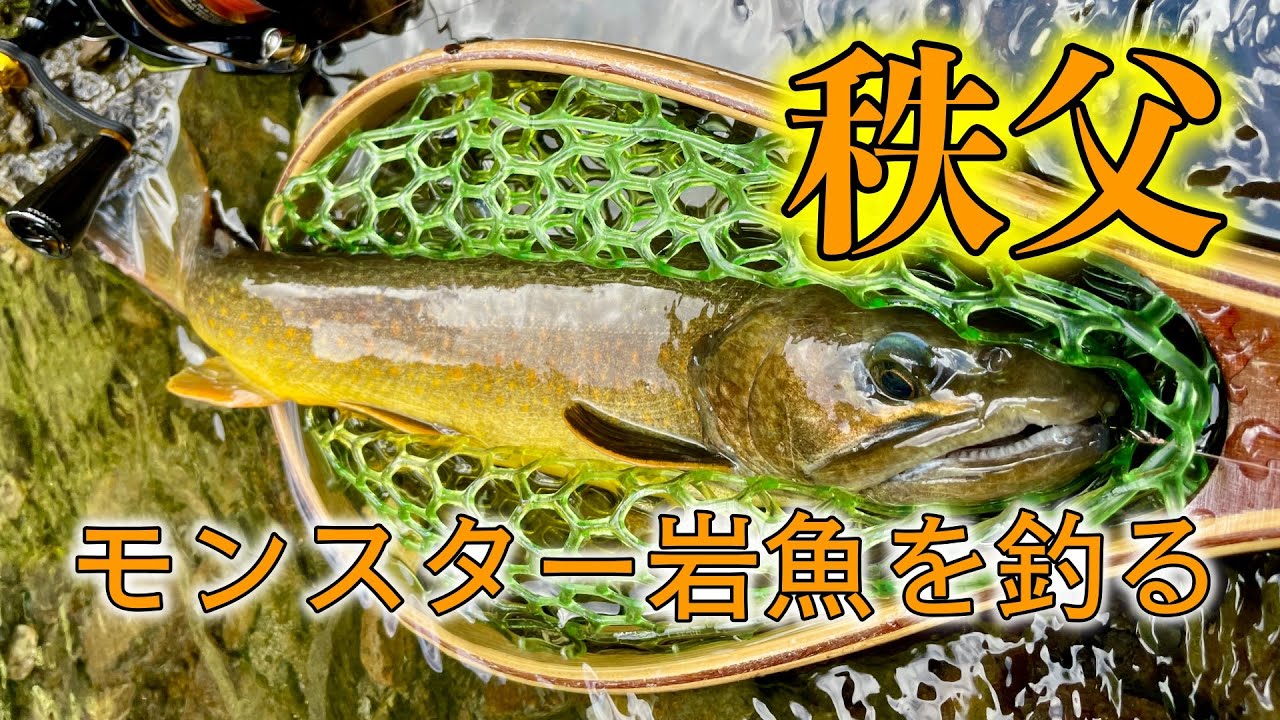 2025年、シーズンラストでモンスター岩魚！奥秩父で渓流ルアーフィッシング。尺超え岩魚を求めて執念の釣行。ヒットルアーは驚きの『◯◯スプーン』！！