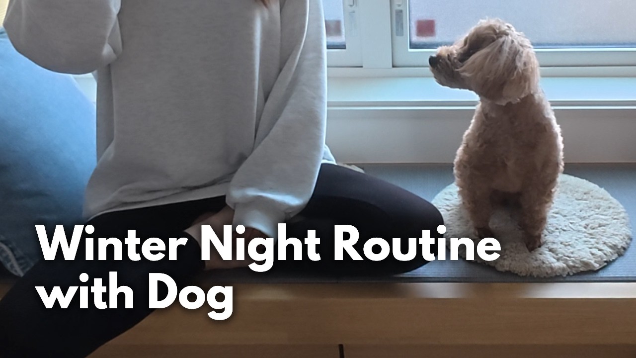 Daily Life in Japan 🇯🇵: Brother's Night Shift & My Mortgage Life | Winter Hot Pot