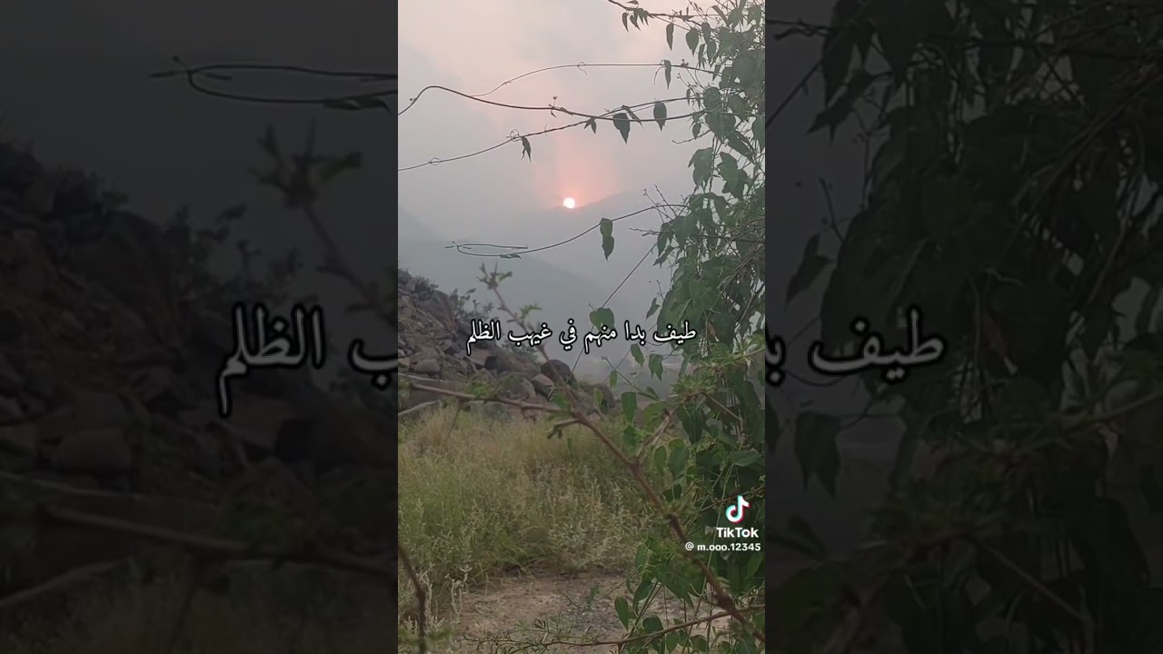 Lexim i mrekulluesh&euml;m ((Quran))