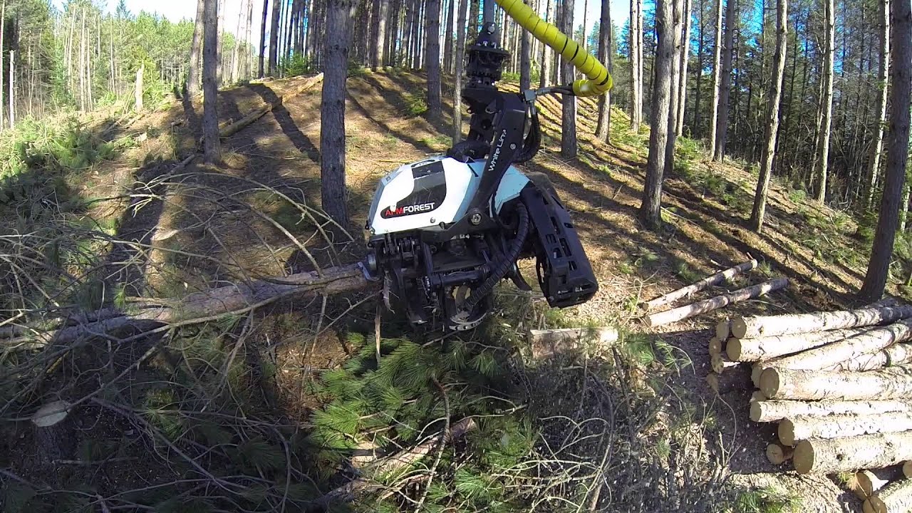 AFM 45 White Line, Quebec 2015