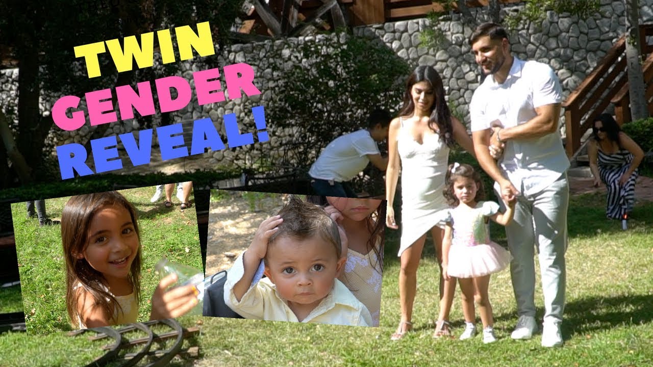 THE BRAMFAM TWIN GENDER REVEAL! (SO CUTE!)
