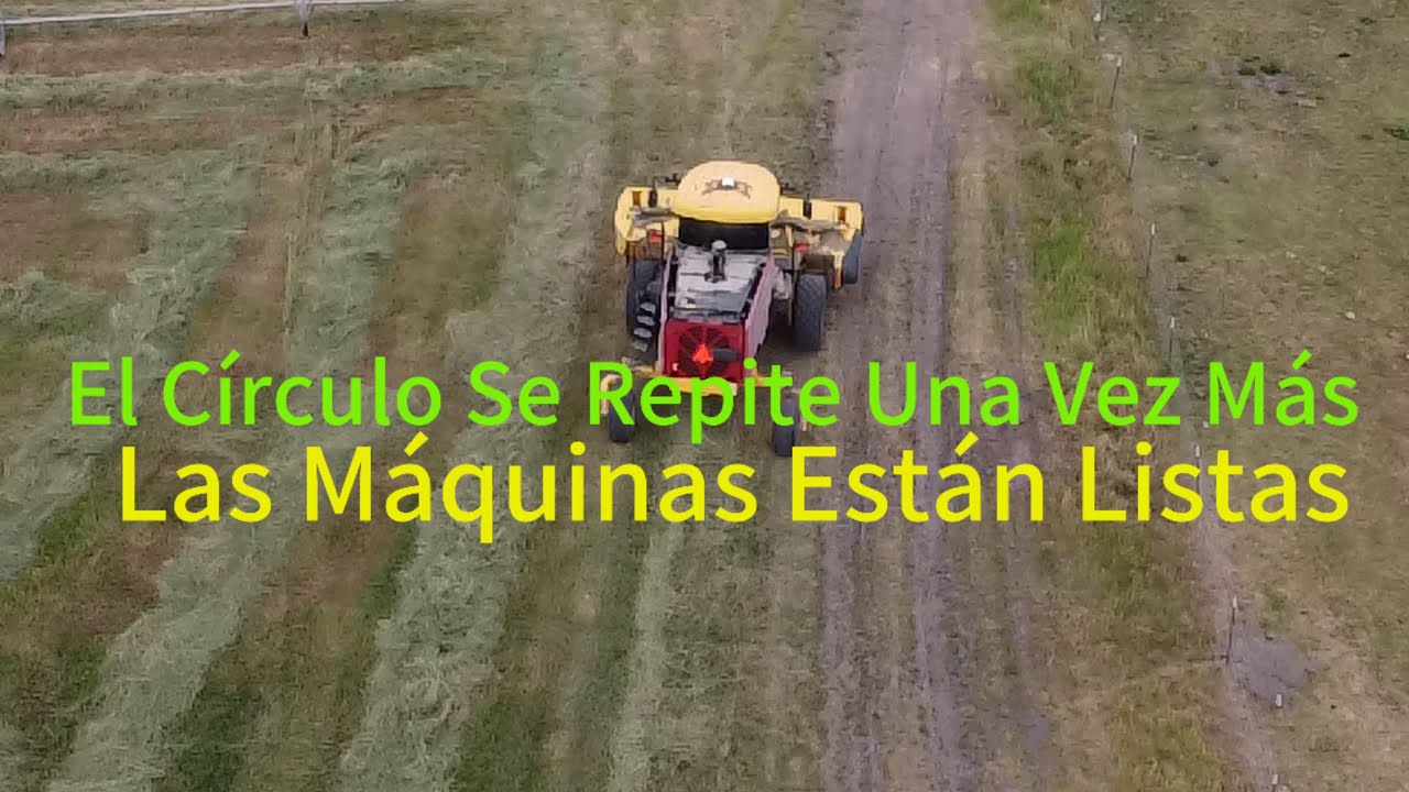 Llegó La Hora De Cortar El Pasto Nativo -Montañas ⛰️ Del Norte De California
