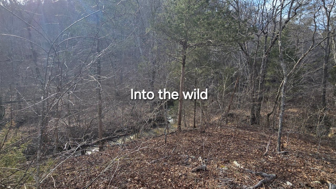Caney Mountain (March)