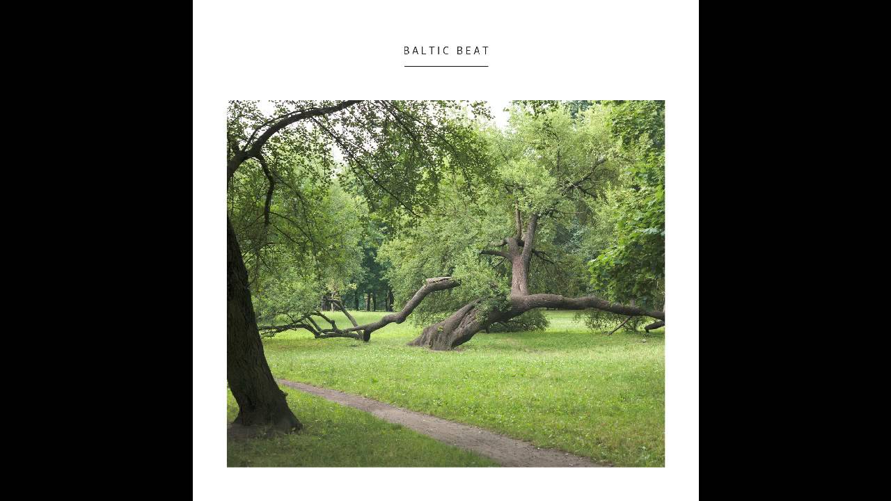 Bartosz Kruczyński - Baltic Beat (Growing Bin, 2016)