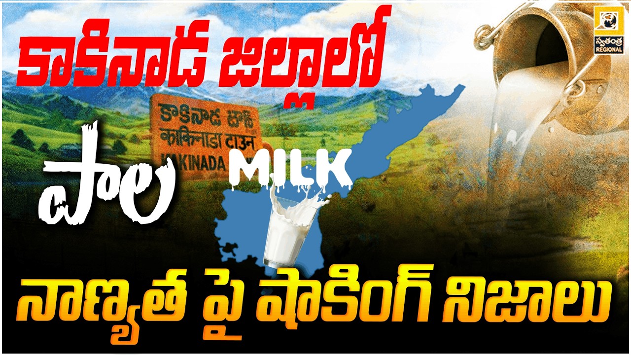 కాకినాడ జిల్లాలో పాల నాణ్యత పై షాకింగ్ నిజాలు | Adulterated Milk Scam In  Kakinada district |