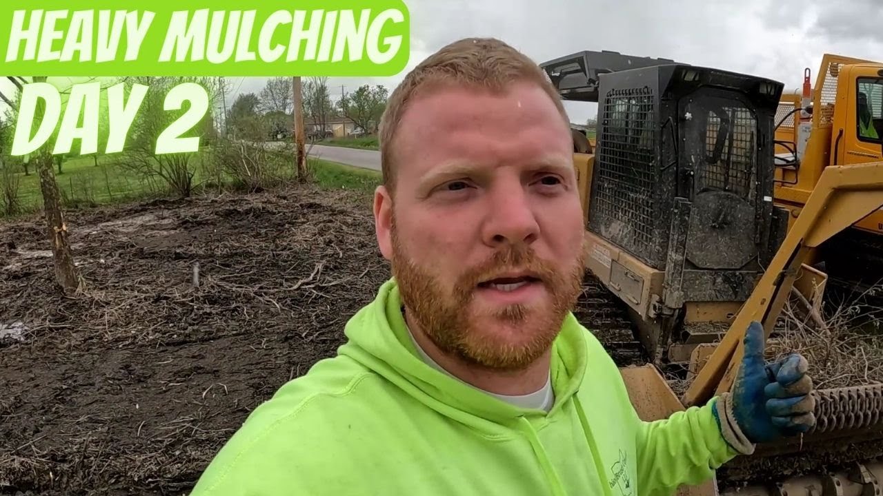 HEAVY forestry mulching, day 2.