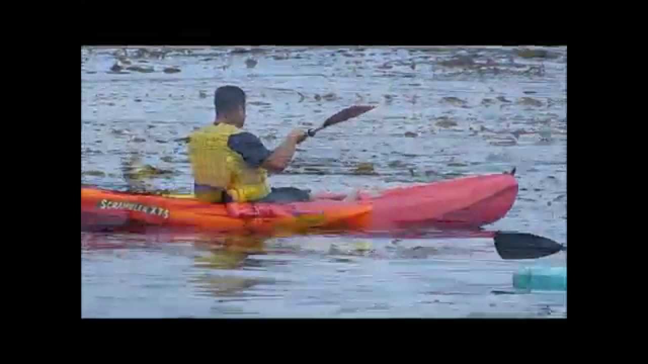 The Monterey Bay Marine Sanctuary and Disturbances