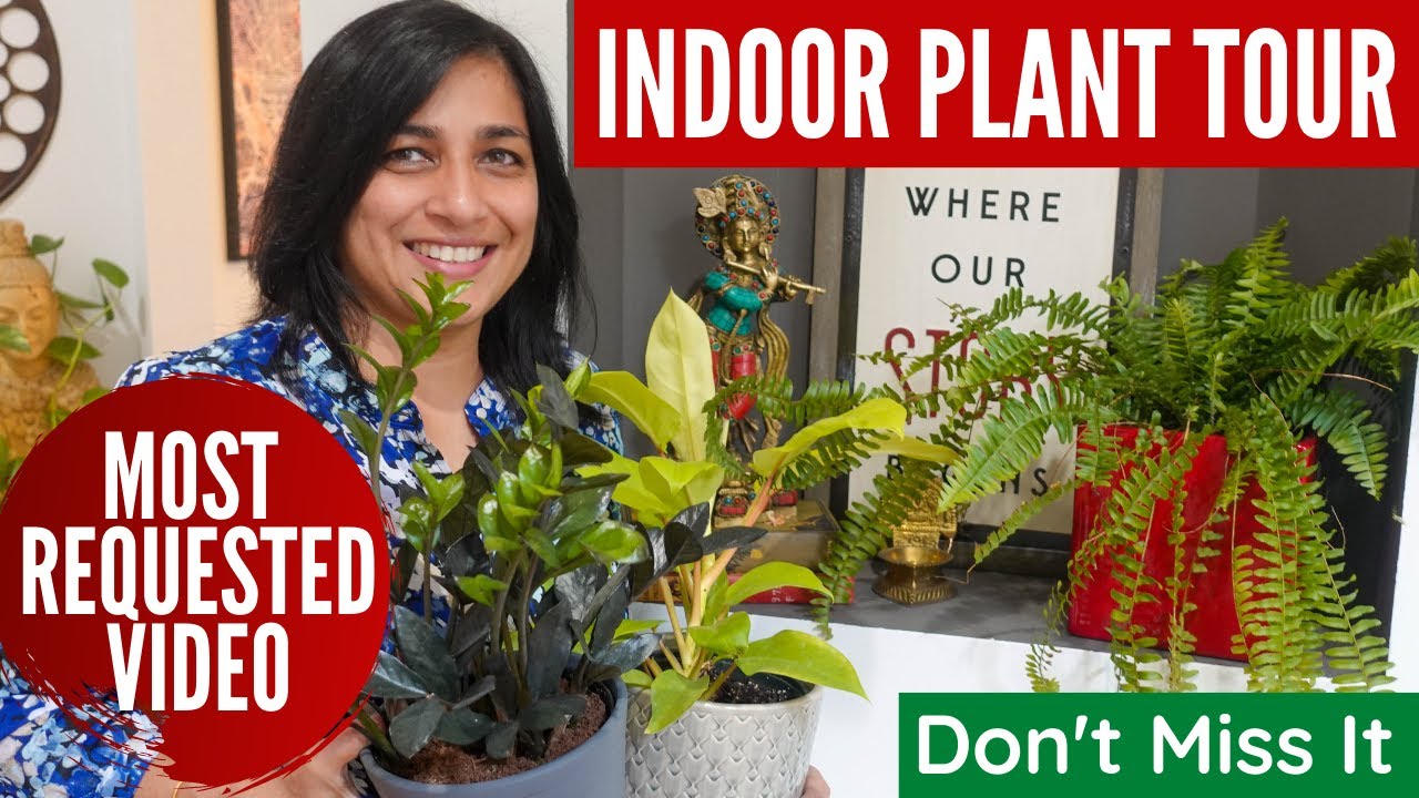 Most Requested Video-Indoor Plant Tour - Eng Subtitles|Indoor Plant Tour 2021|Houseplants Tour 2021