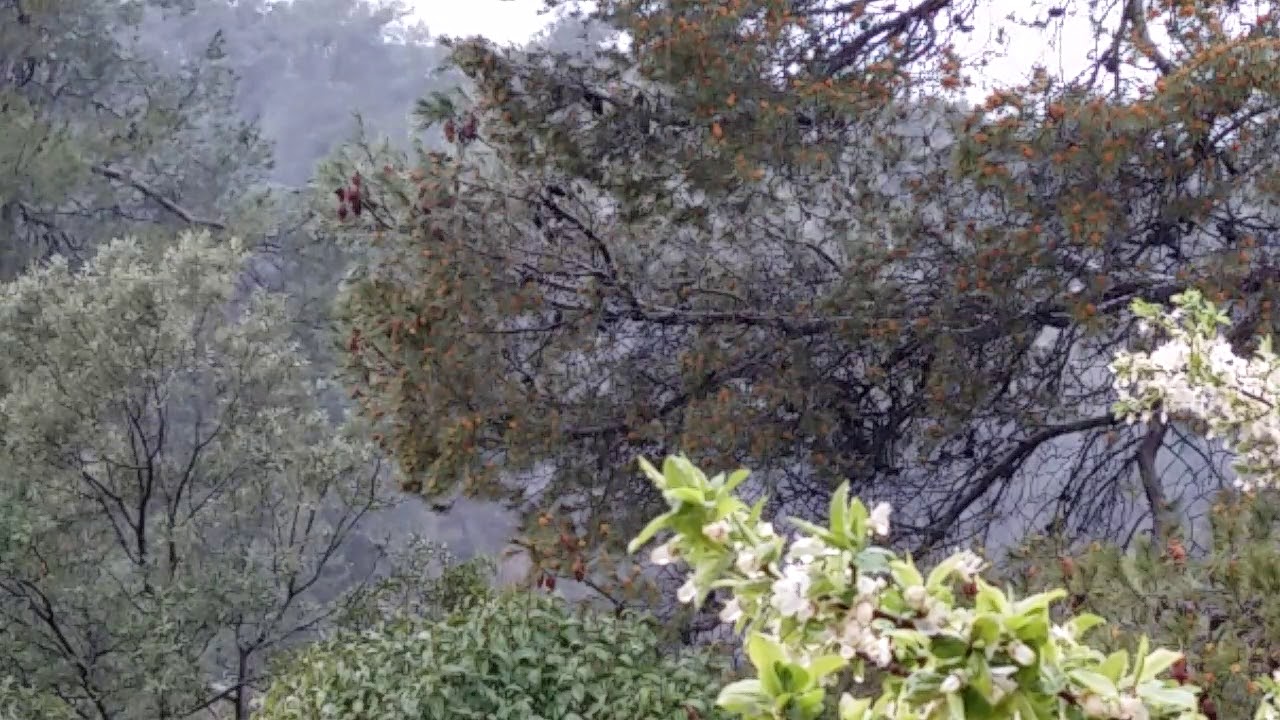 Lluvia...versi&oacute;n cantada por Oscar Esteban