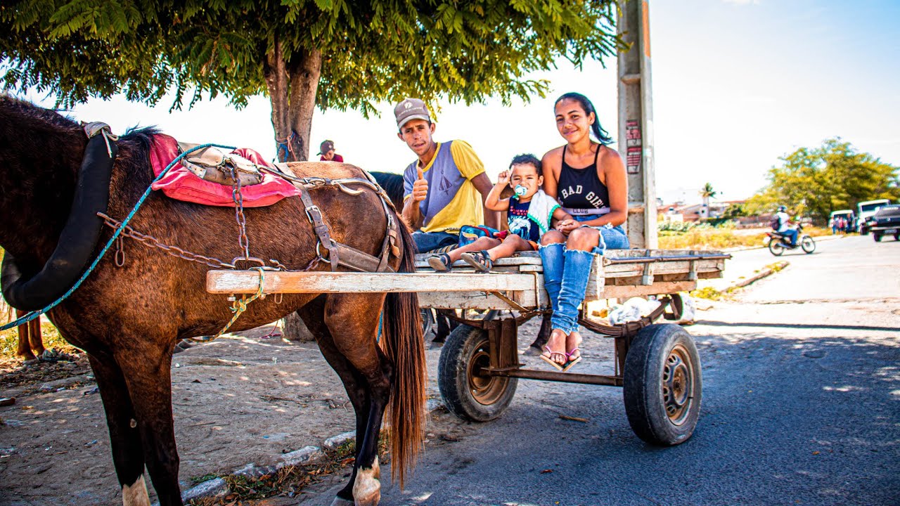 DIA A DIA DAS PESSOAS QUE TRABALHAM COM O TRANSPORTE DA CARROÇA COM JUMENTO!!