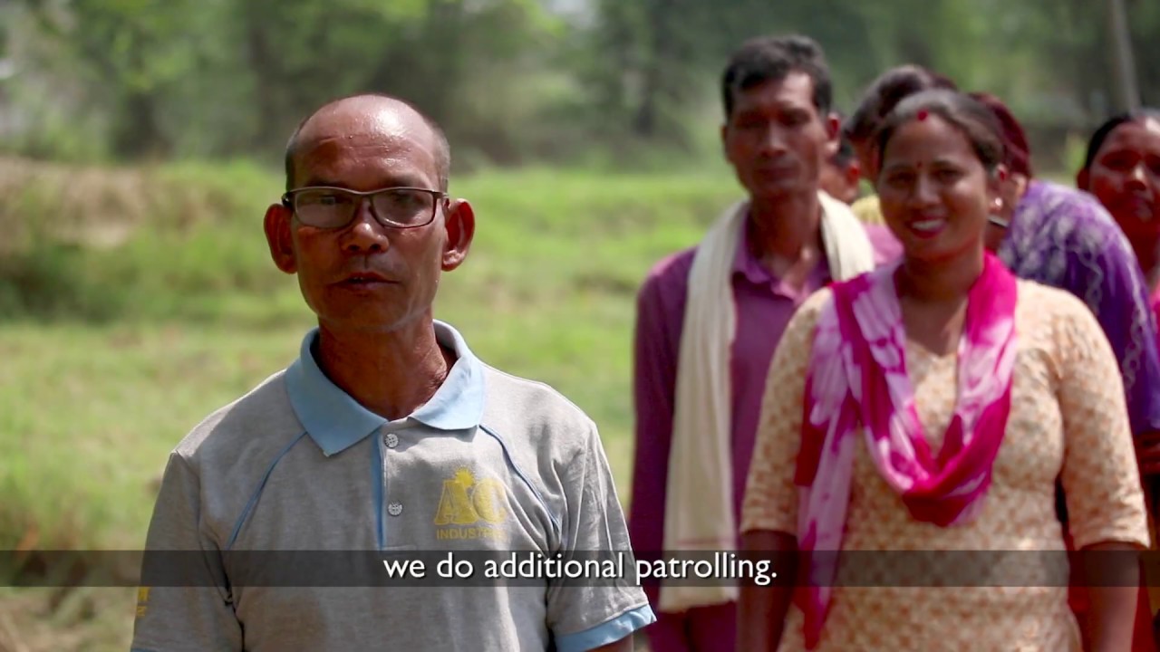 Conservation Hero: Pateshwori Chaudhary