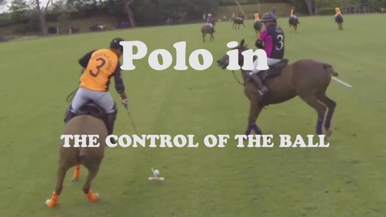 Professional Polo 01 The Control of the Ball