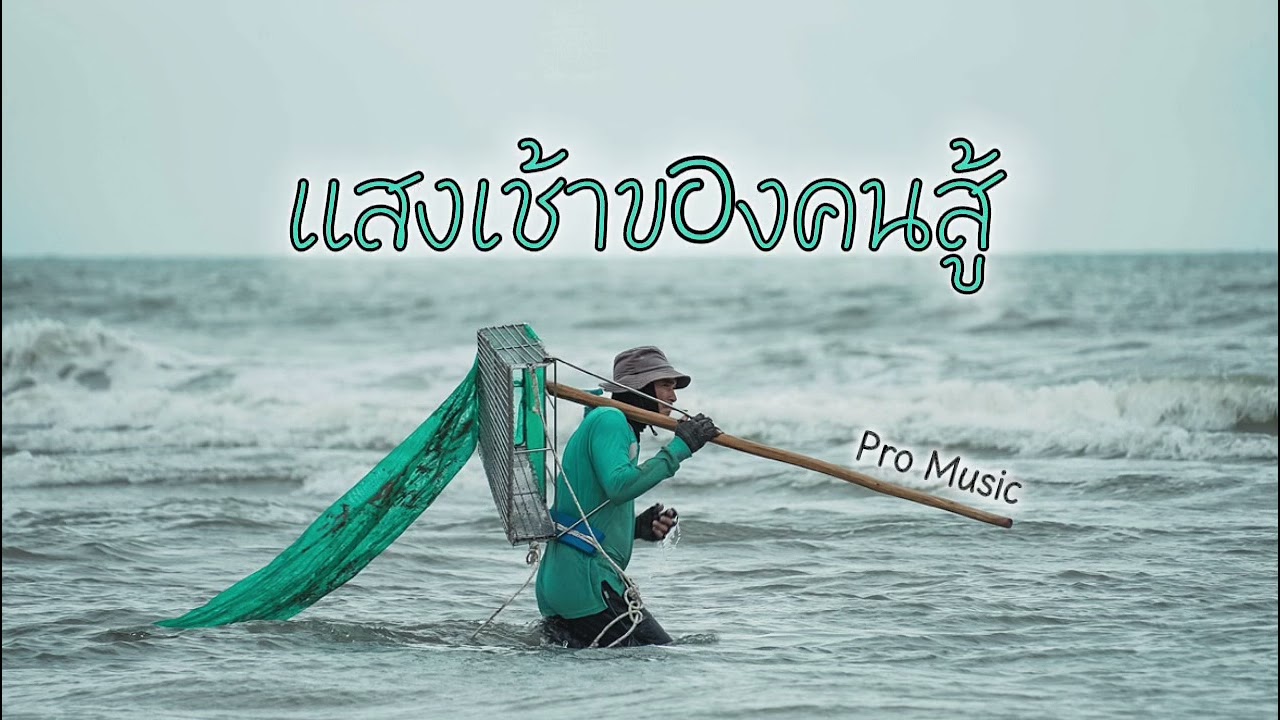 แสงเช้าของคนสู้ - Pro Music