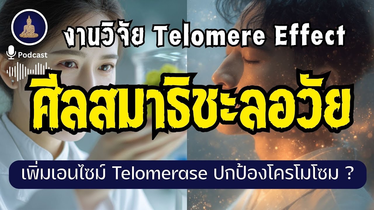 ศีลและสมาธิ