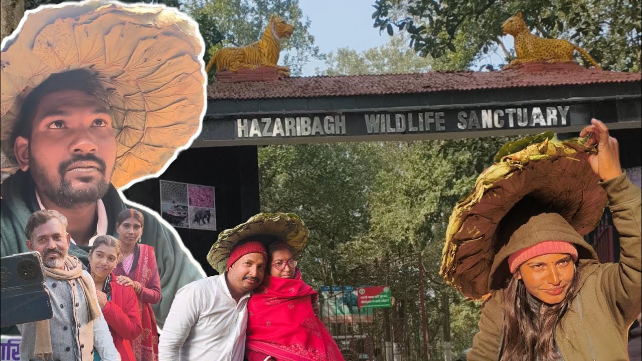 Tour of Hazaribagh wildlife sanctuary 😍