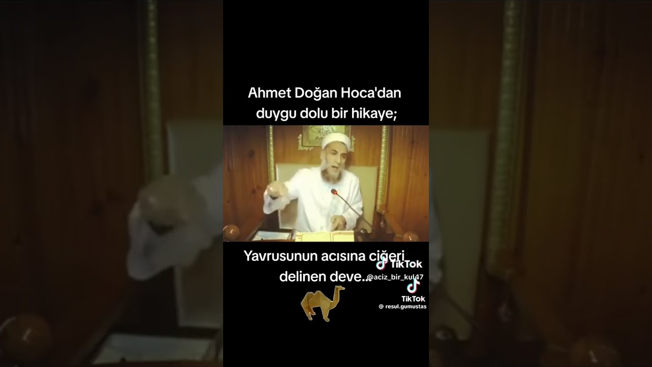 Muhteşem Bir Hikaye Sonuna Kadar Dinle #dinisohbetler #hocalar #sohbet #muhabbet