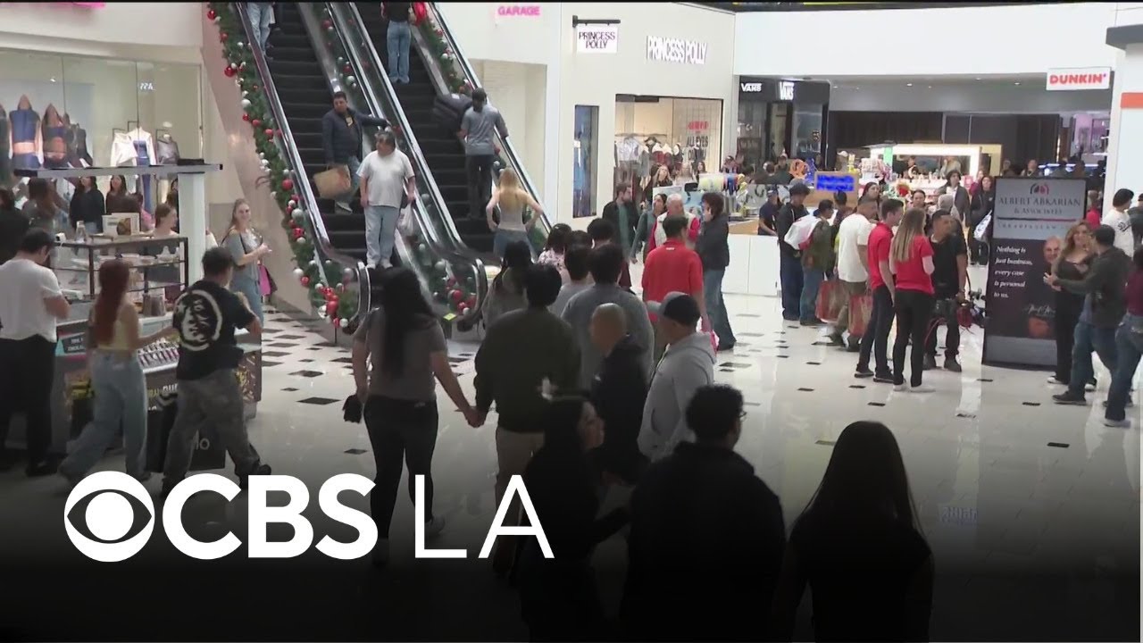 Families head to Glendale Galleria for their Black Friday shopping