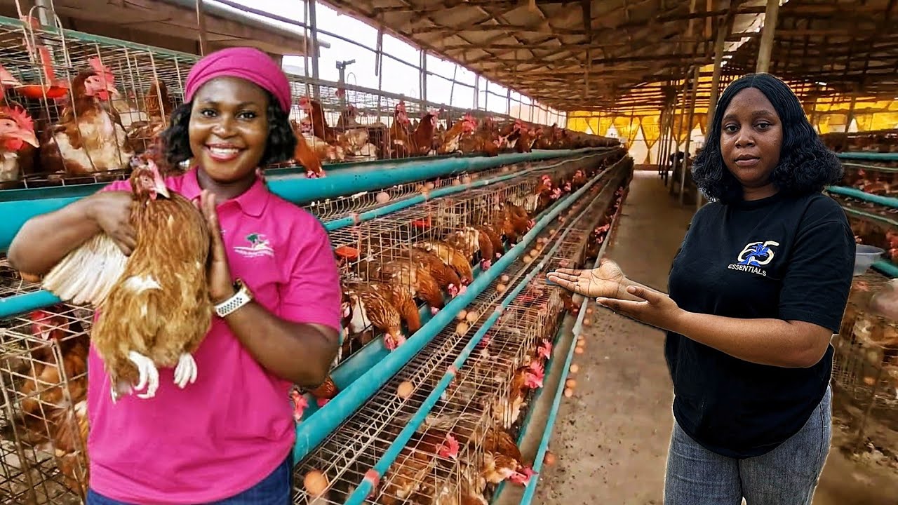 HOW THIS YOUNG LADY BECAME A MULTI-MILLIONAIRE FROM POULTRY  FARMING IN NIGERIA 🇳🇬|🌍BUSINESS NIGERIA