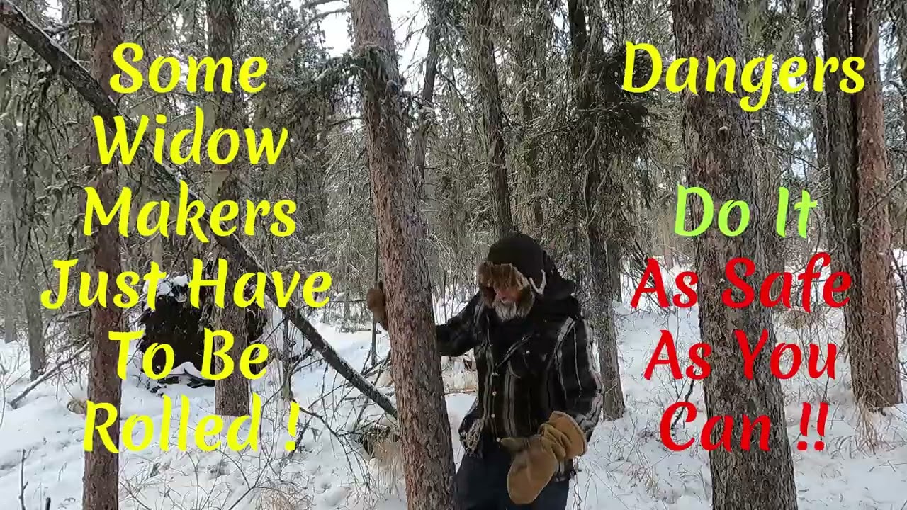 Firewood At My Cabin ?? My Off Grid Life ! S5,E01