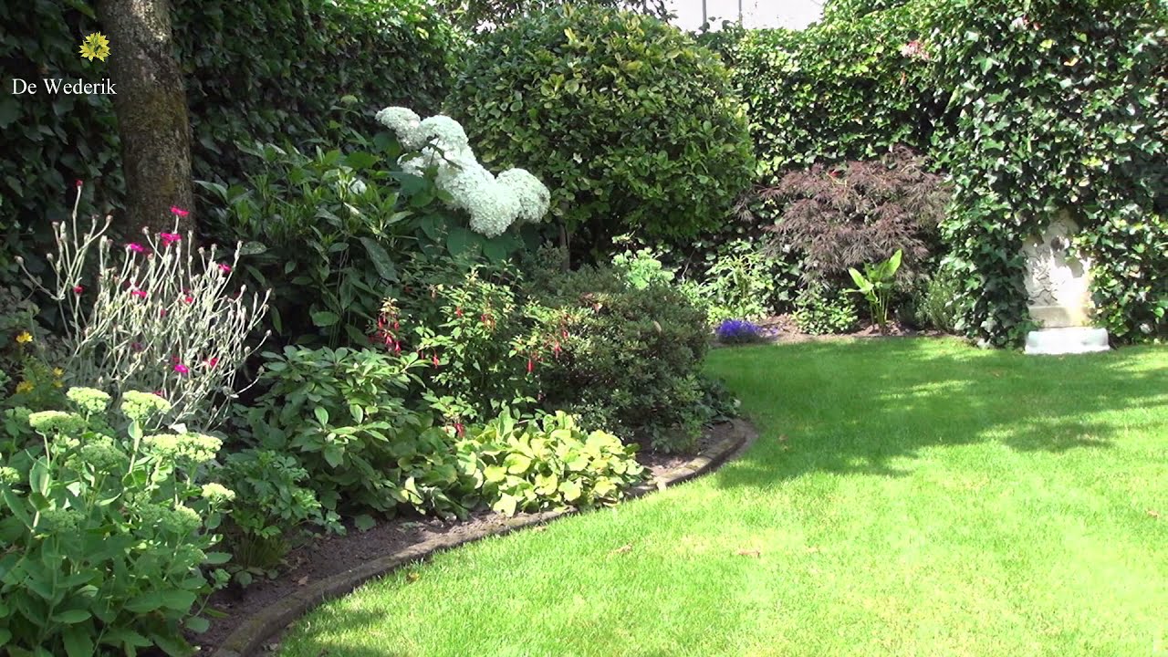 PRACHTIGE NATUUR, ZOMER, ONZE TUIN IN BLOEI.
