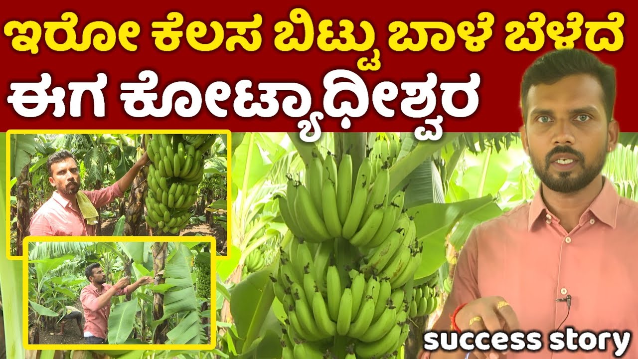 ಕೈಯಲ್ಲಿರೋ ಕೃಷಿ ಬಿಟ್ಟೆ ಬಾಳೆ ಕೃಷಿ ಮಾಡಿದೆ.. ಈಗ ನಾನು ಲಕ್ಷ ಲಕ್ಷ ದುಡಿತಾಯಿದೀನಿ | farmer success story