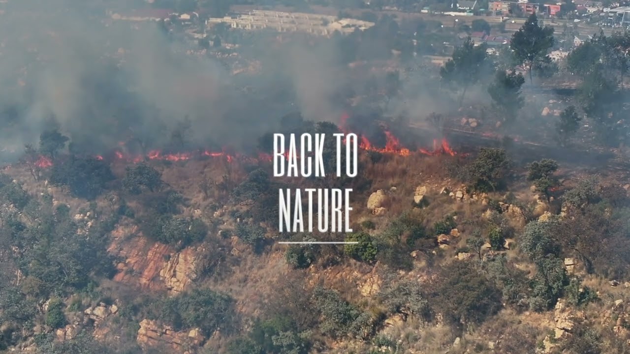 Medium Fire On Linksfield Ridge