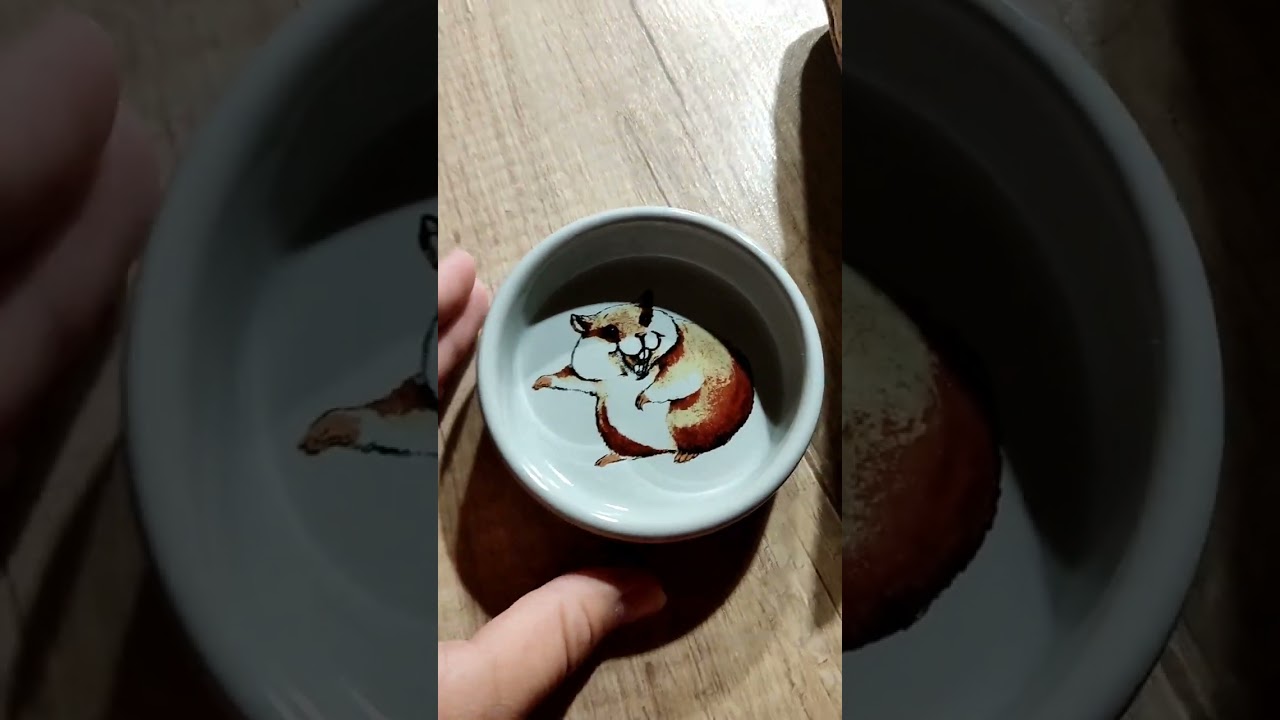 Hörcsög szelidítès+höri takarítás🤩🤩🤩
