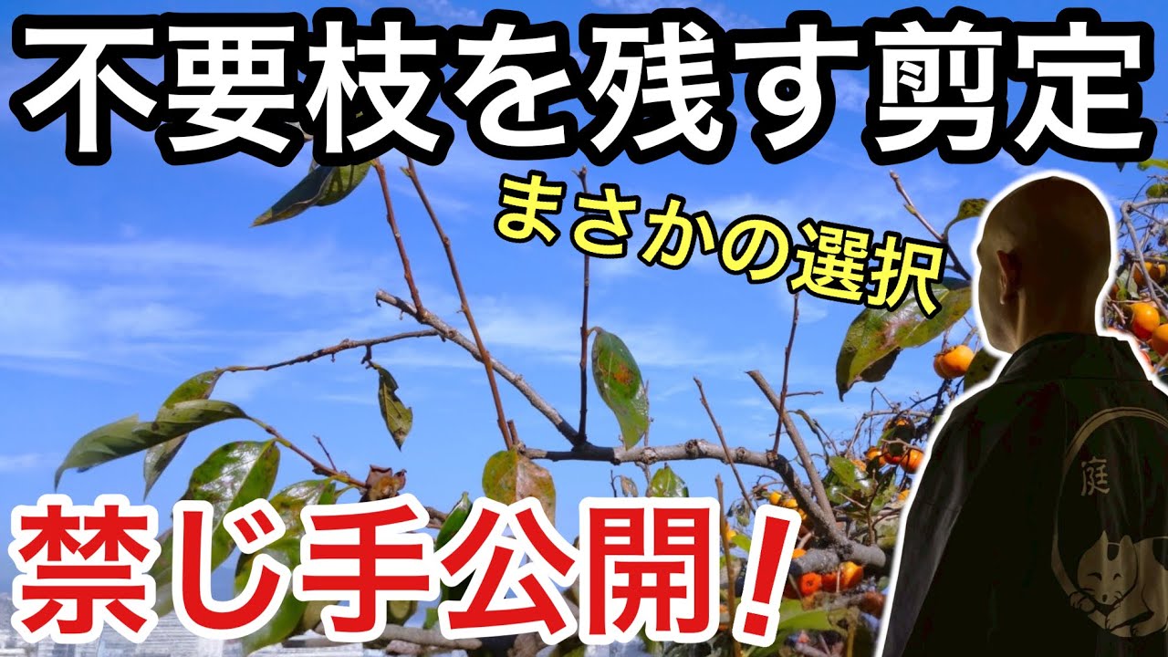 【逆転の剪定術】教科書にはのっていない、プロだけが知っている裏技をわかりやすく解説！
