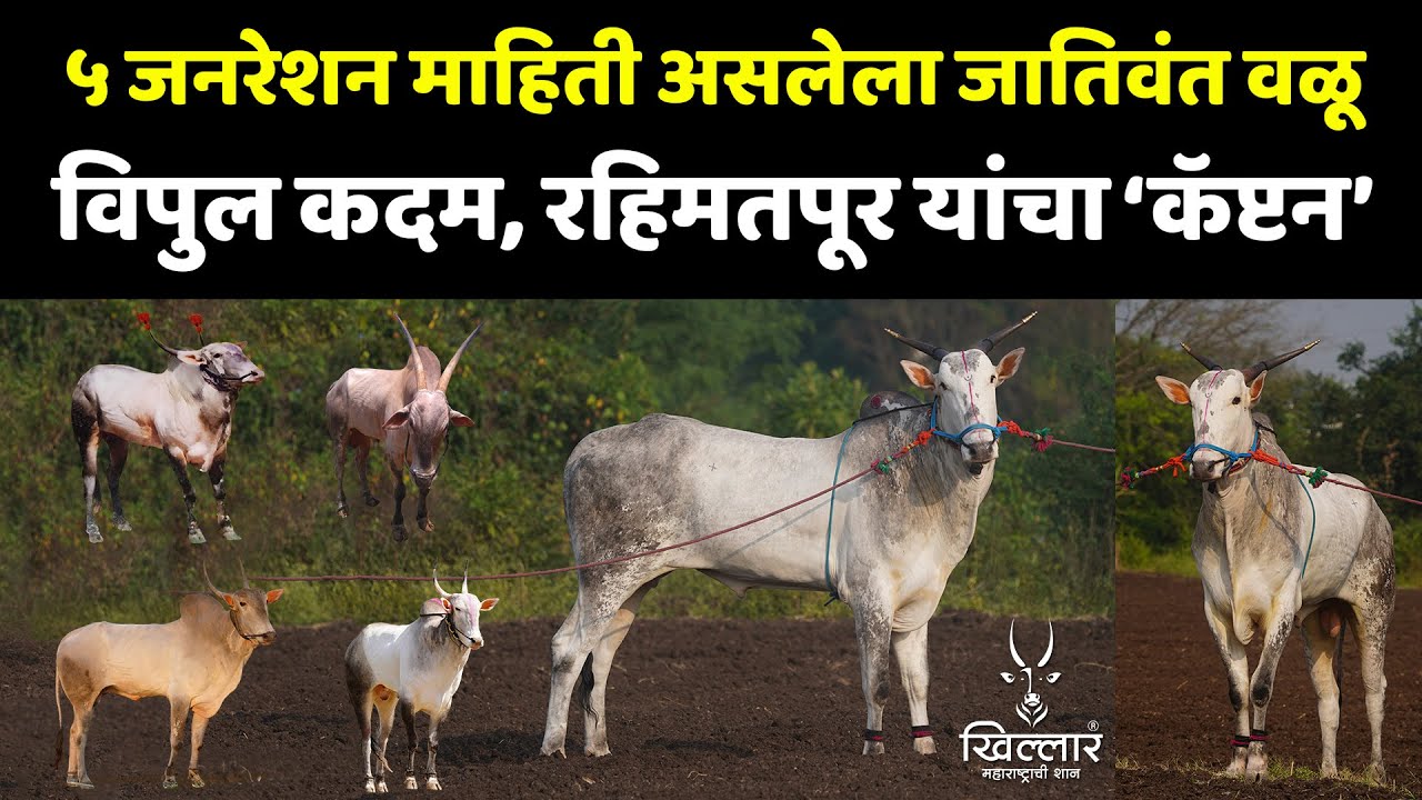 ५ जनरेशन माहिती जगासमोर असलेला विपुल कदम, रहिमतपूर यांचा 