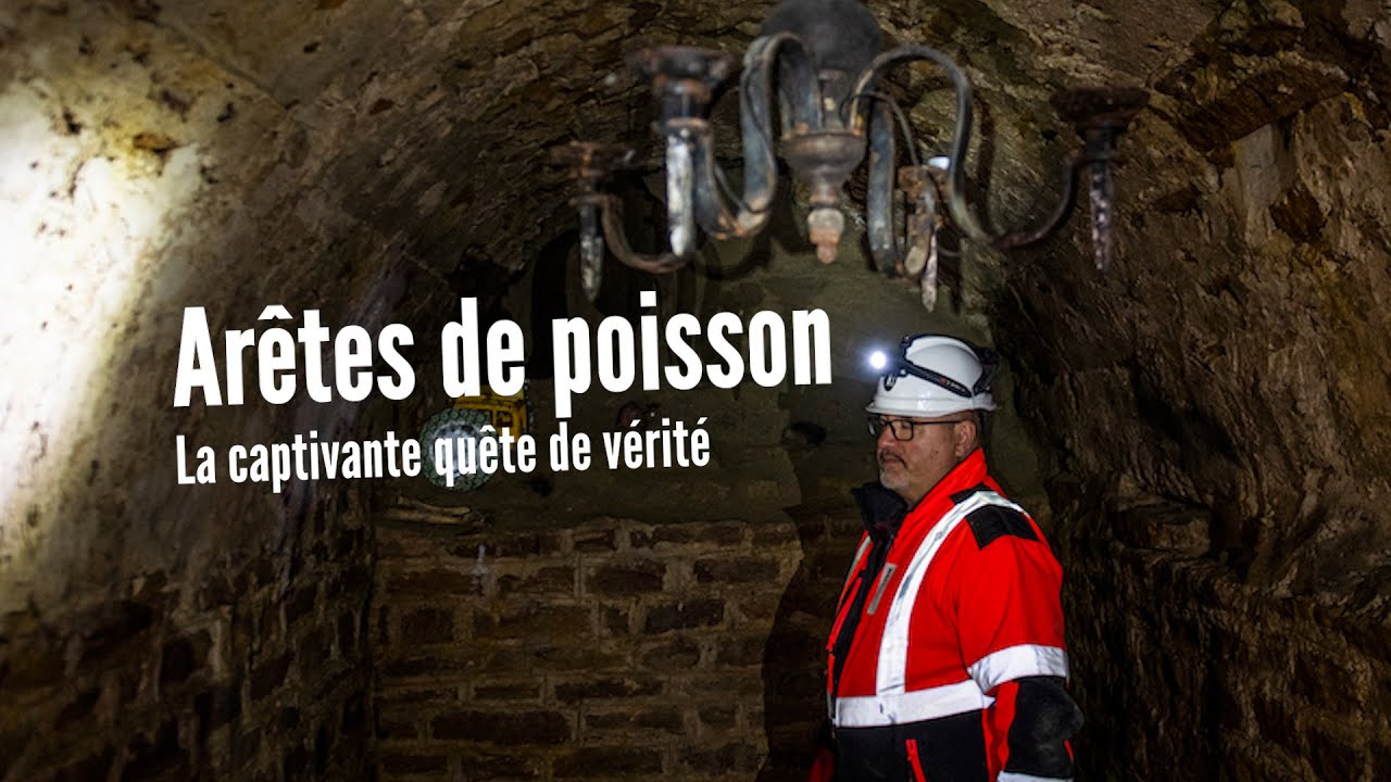Arêtes de poisson : La captivante quête de vérité