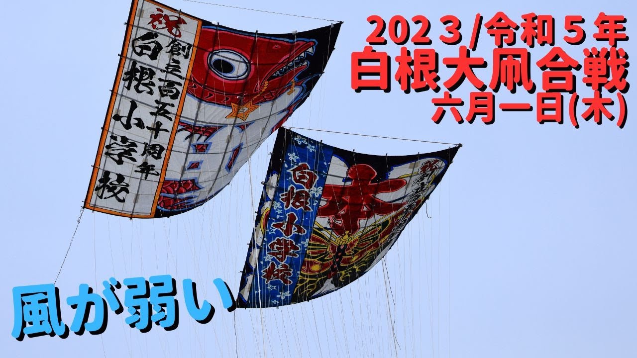 白根大凧合戦2023' 令和5年6月1日(木)弱い風の中いよいよ開戦！ japanese Shirone Giant Kite Battle