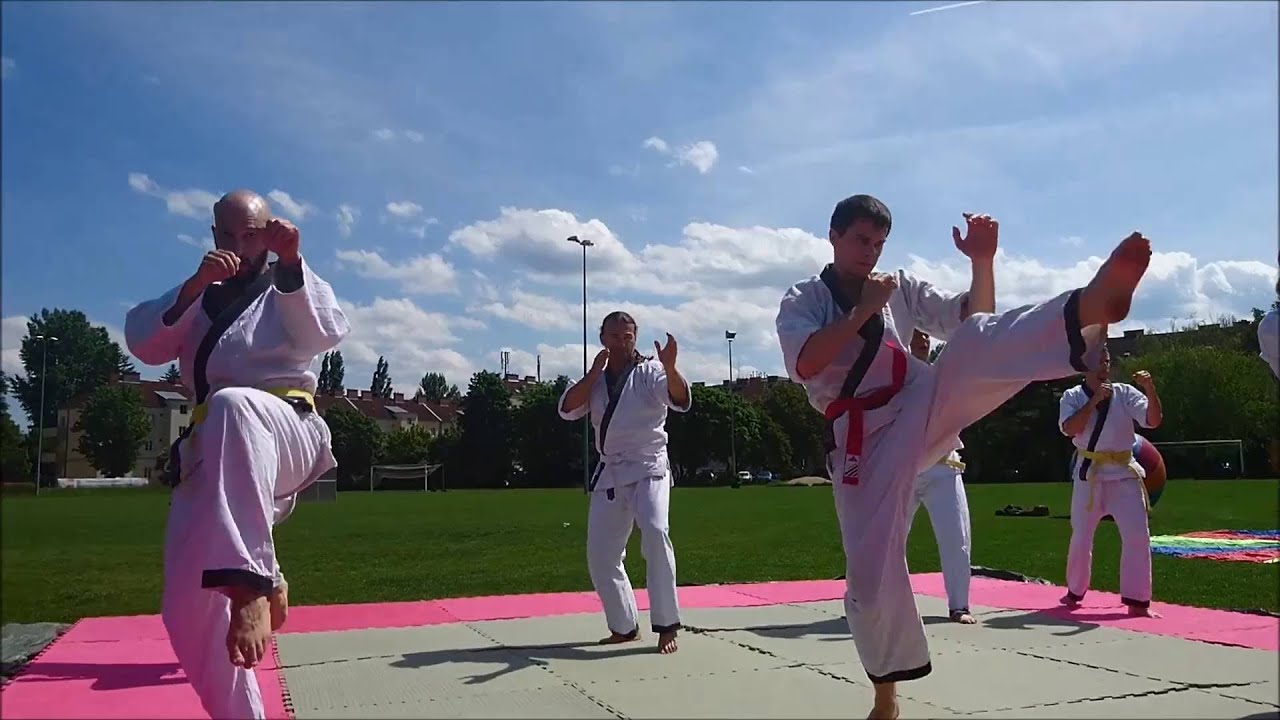 HAPKIDO Wiener Neustadt Presentation @ ASKÖ SportsDay2016