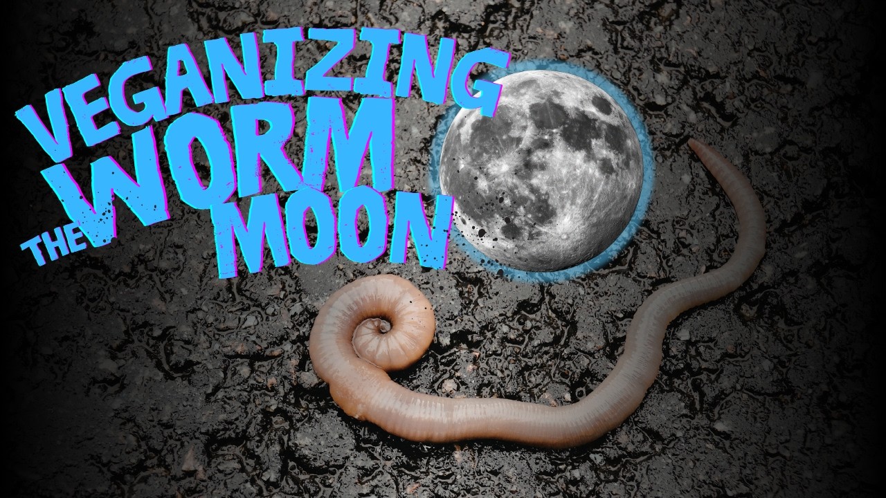 The worm moon reminding us that death and life are in a spiral dance
