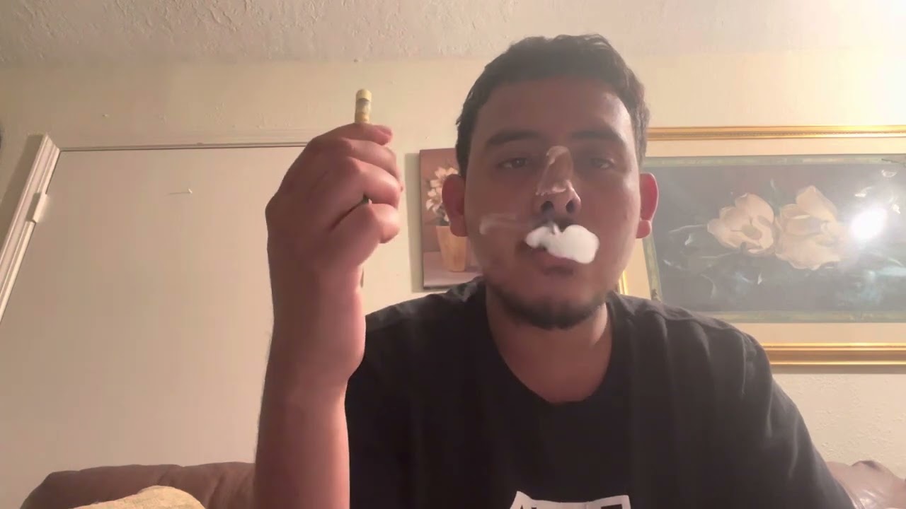 Muha med review (Gelato#33) 🔥🍧