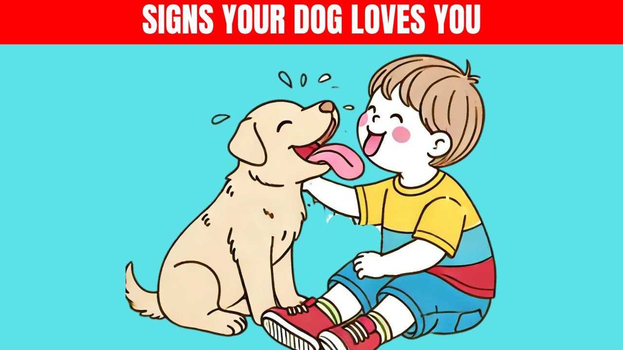 10 Heartwarming Signs Your Dog Truly LOVES You