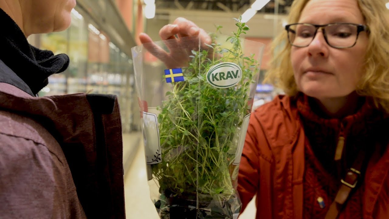 Matkompassen - lär dig mer om säkra och spårbara livsmedel
