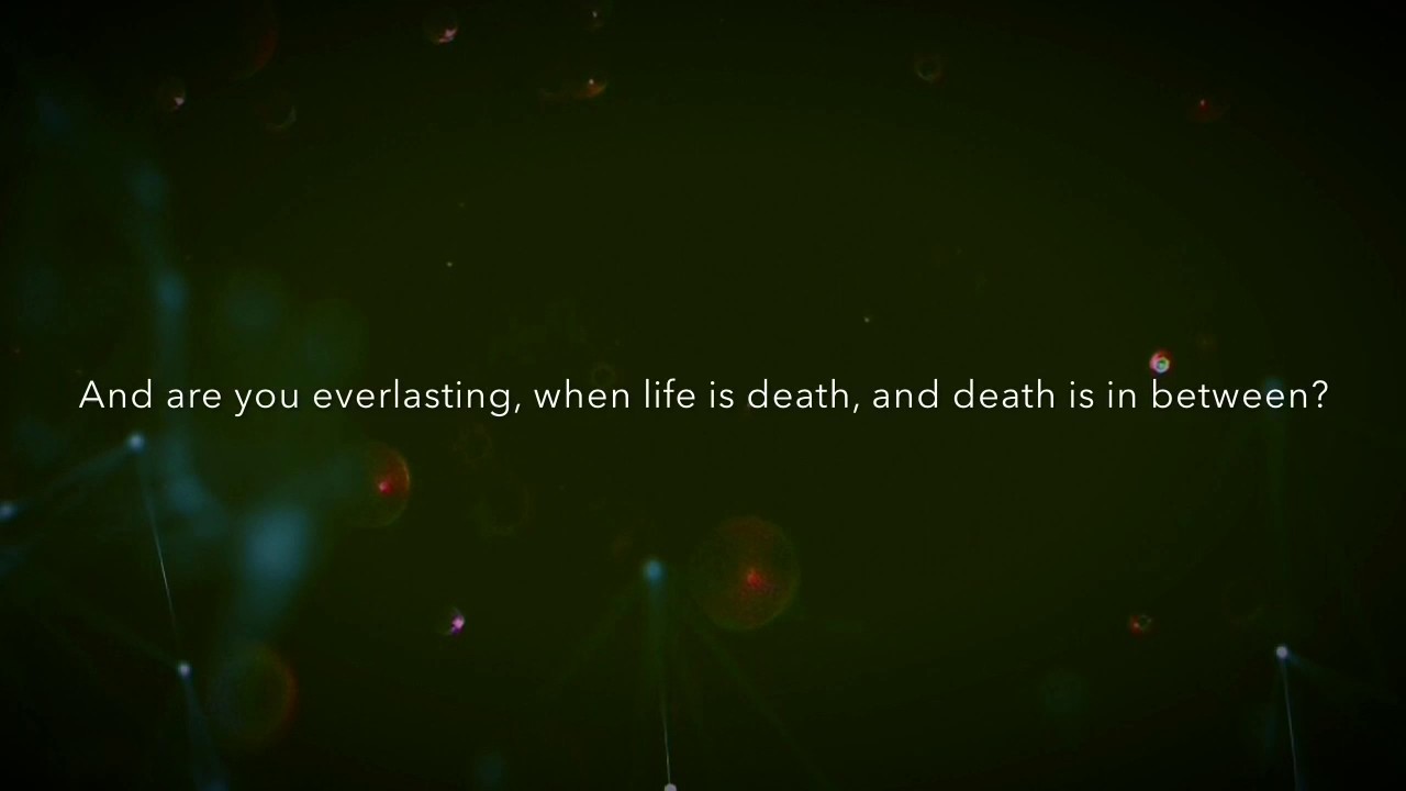 Valley Maker - Pretty Little Life Form (Lyric Video)