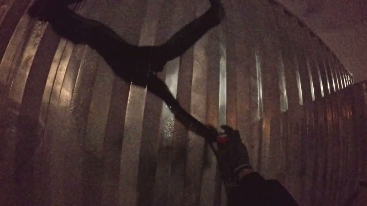 RACCOONS VOL.2