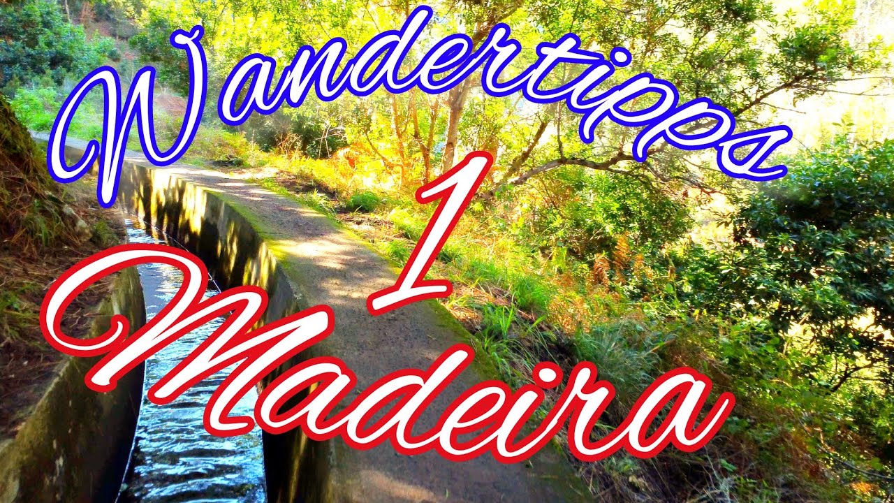 Levada Nova // Wandertipps Madeira 1