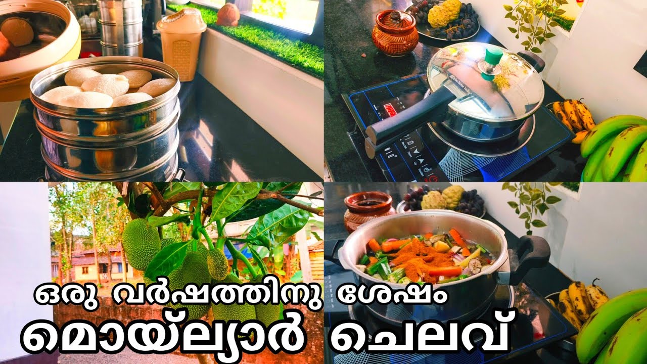 മോന്ക്ക് പനിയും ഫുഡ് ഉണ്ടാക്കലും / idli sambar / kitchen tips and tricks / simple chit chat 
