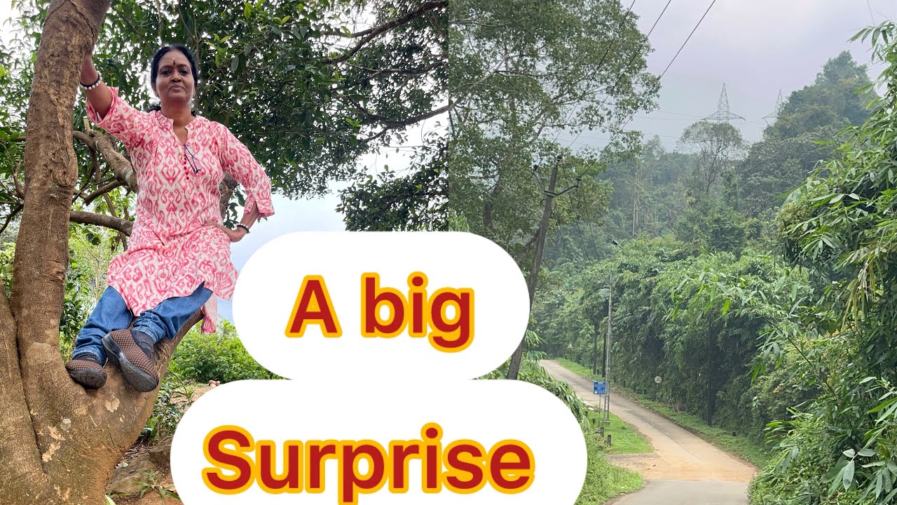 How to plan  a Gavi trip | Gavi  eco tourism | Gavi trip details | Most beautiful forest journey 